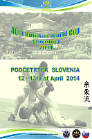 Kofukan_World_Cup_2014.jpg
